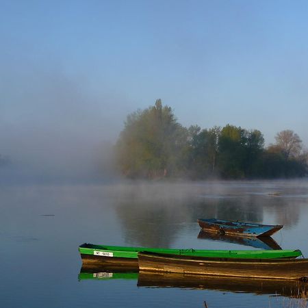 Escale De Loire Bed & Breakfast Chouzé-sur-Loire Екстериор снимка