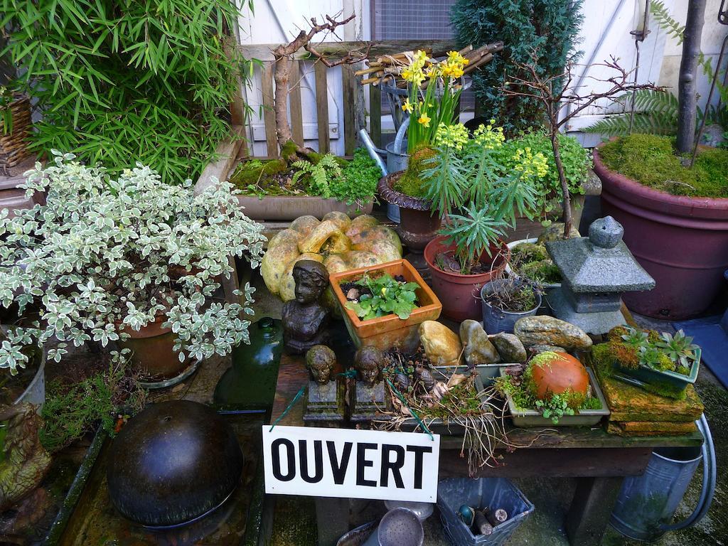 Escale De Loire Bed & Breakfast Chouzé-sur-Loire Екстериор снимка