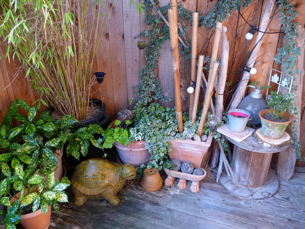Escale De Loire Bed & Breakfast Chouzé-sur-Loire Екстериор снимка