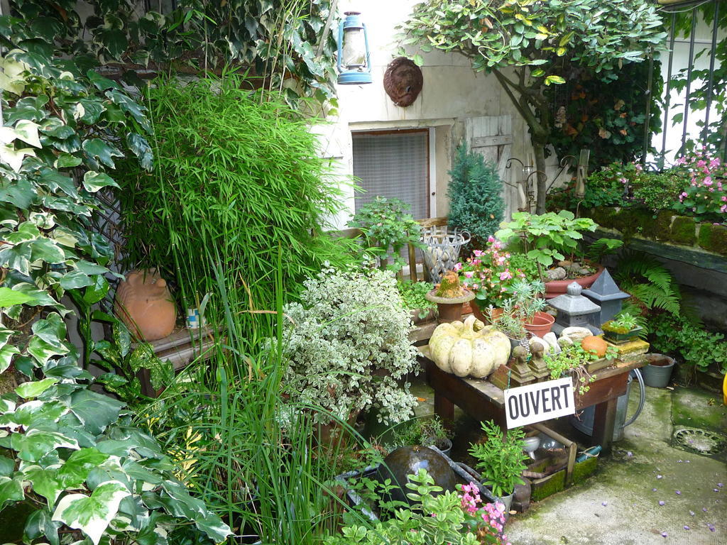 Escale De Loire Bed & Breakfast Chouzé-sur-Loire Екстериор снимка