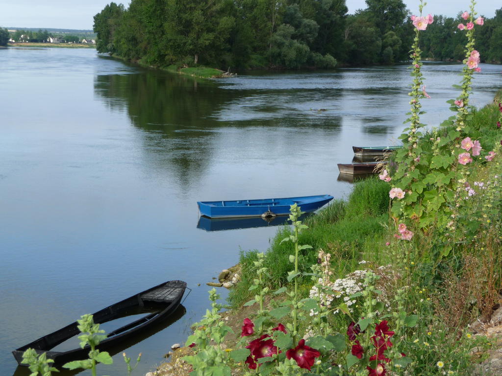 Escale De Loire Bed & Breakfast Chouzé-sur-Loire Екстериор снимка